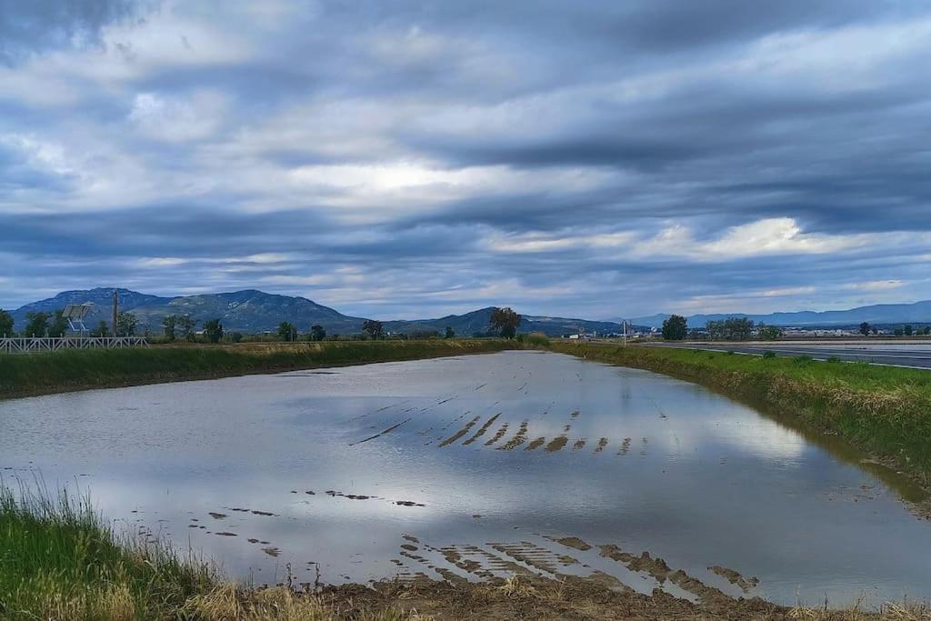 Casilla Mas D'Avall Deltebre Exteriér fotografie