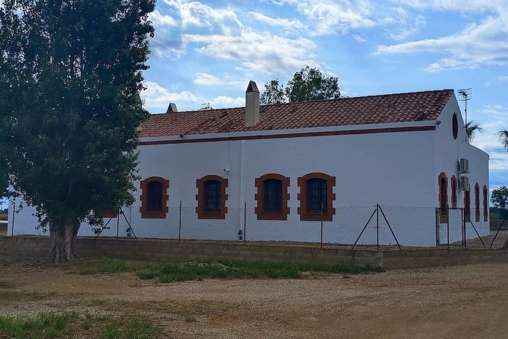 Casilla Mas D'Avall Deltebre Exteriér fotografie